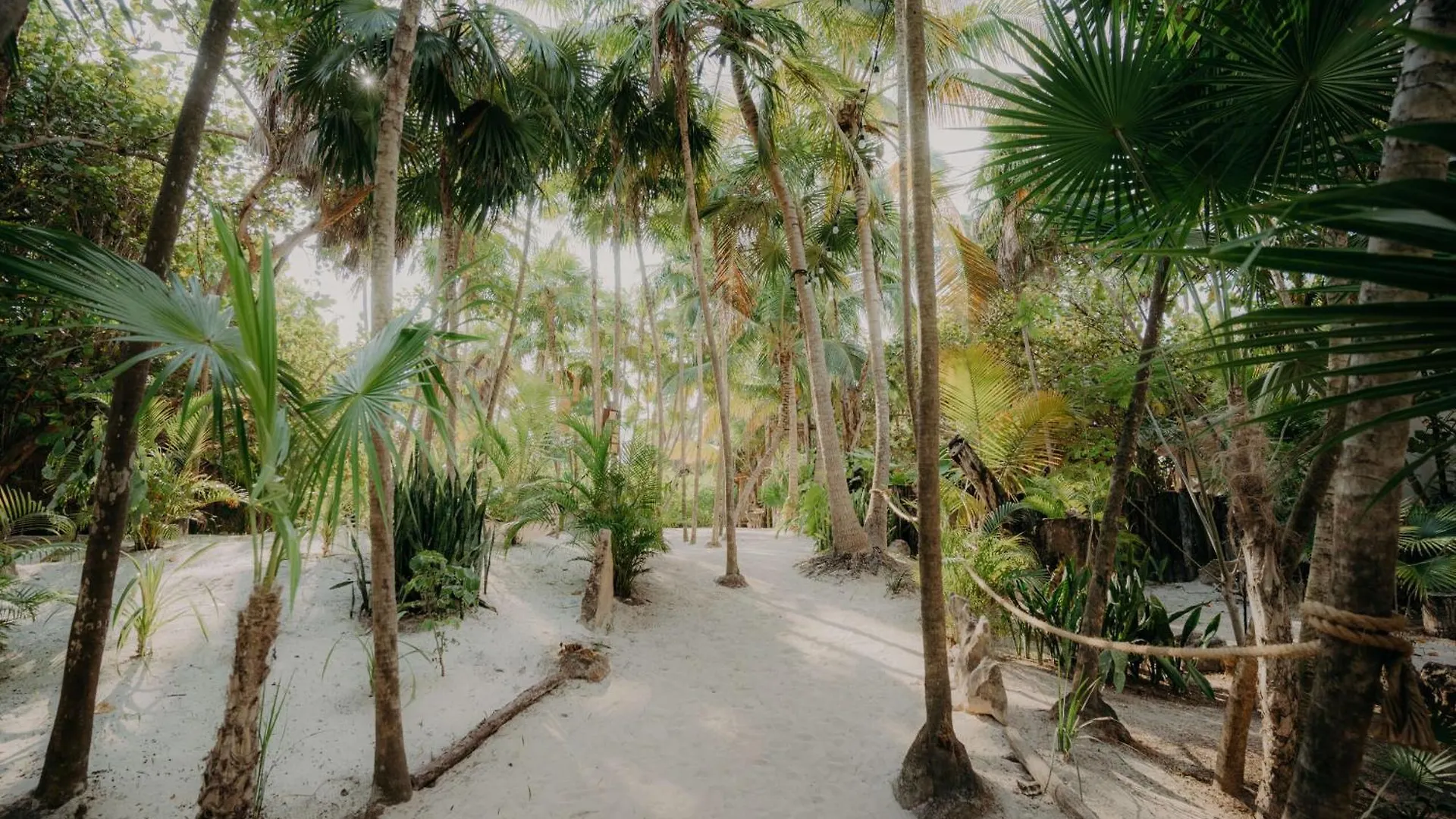 Apartment Gorgeous Loft With Gym, Pools And Rooftop Terrace Tulum